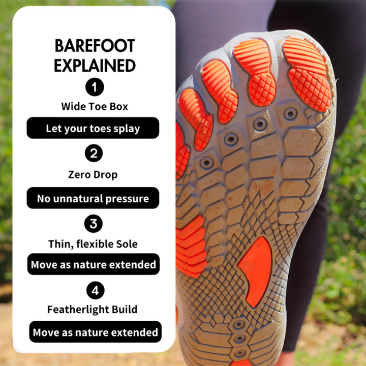 cid:43356813525215